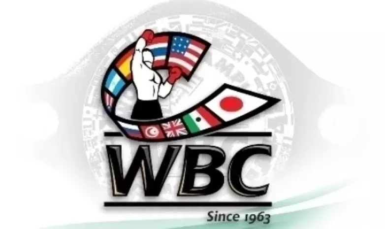 Казахстанские боксеры узнали свои места в обновленном рейтинге WBC